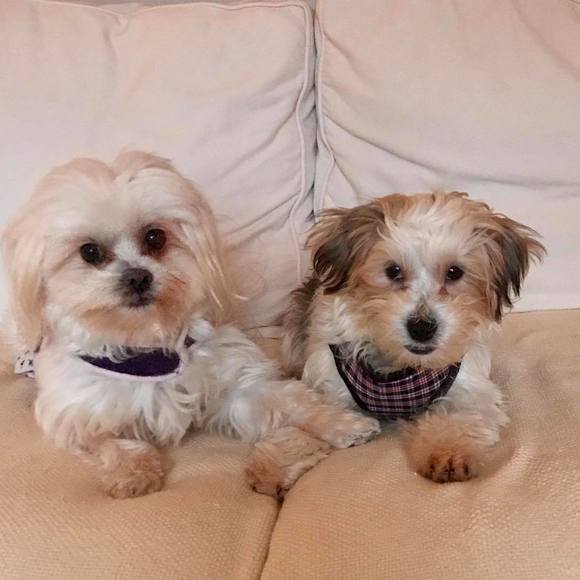 Meet your Posher, Kelly - Picture 1 of 1